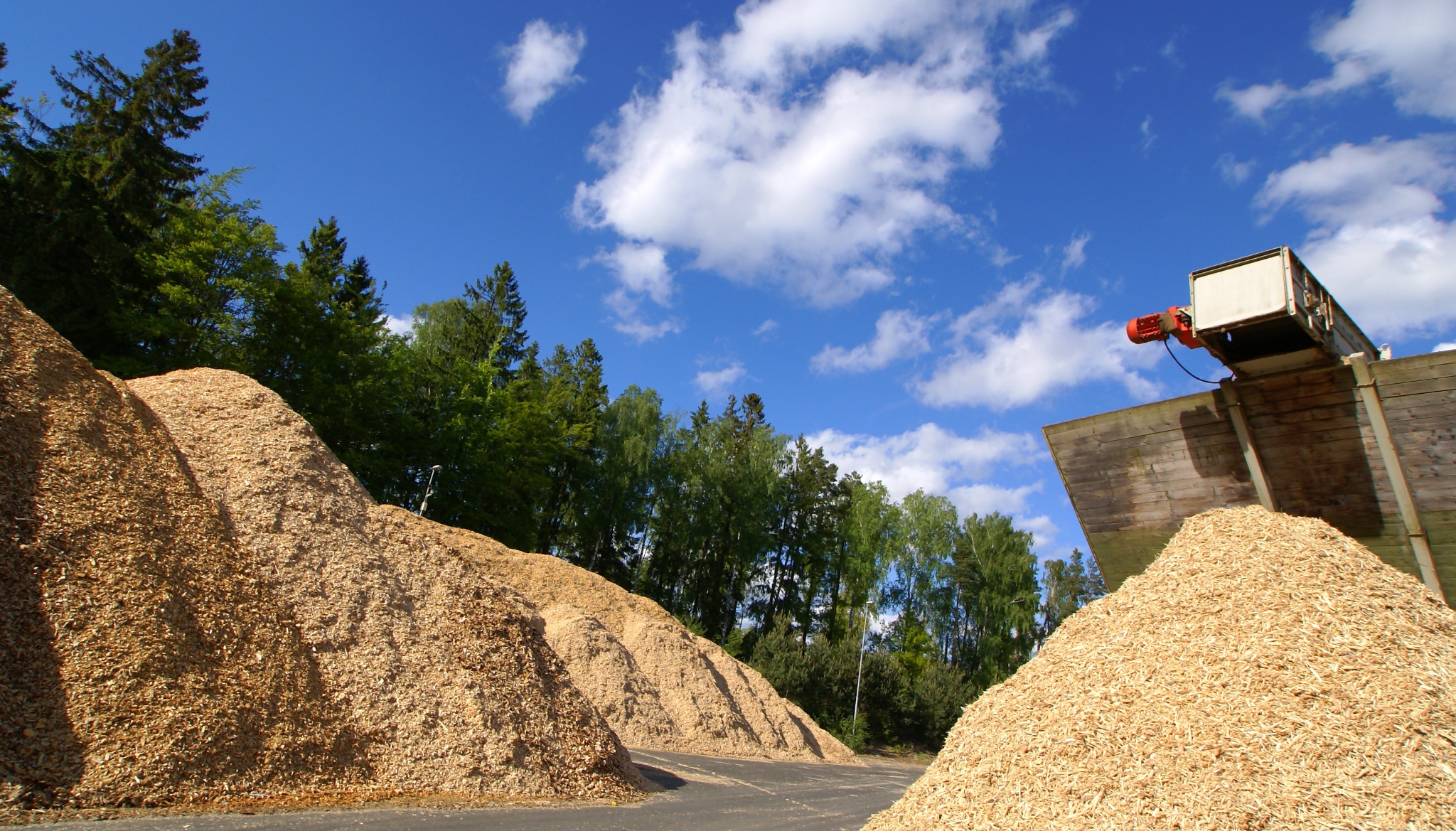 High-quality chips on a sawmill yard